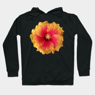 yellow red flower, hibiscus, flowers, blossom, Hoodie